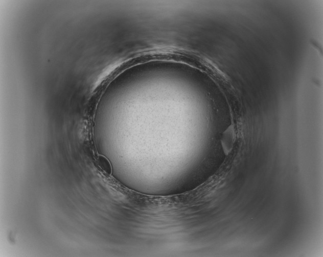 X0000101961208200808011100