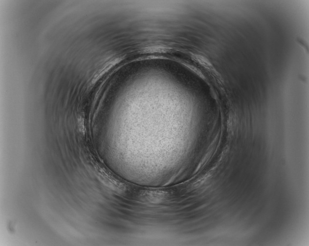 X0000101961209200808011100