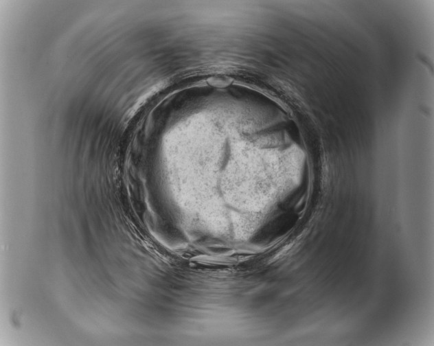 X0000101961210200808011100