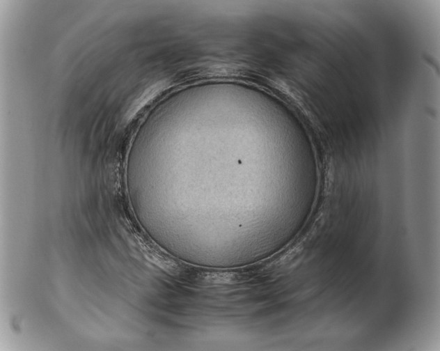 X0000101961211200808011100