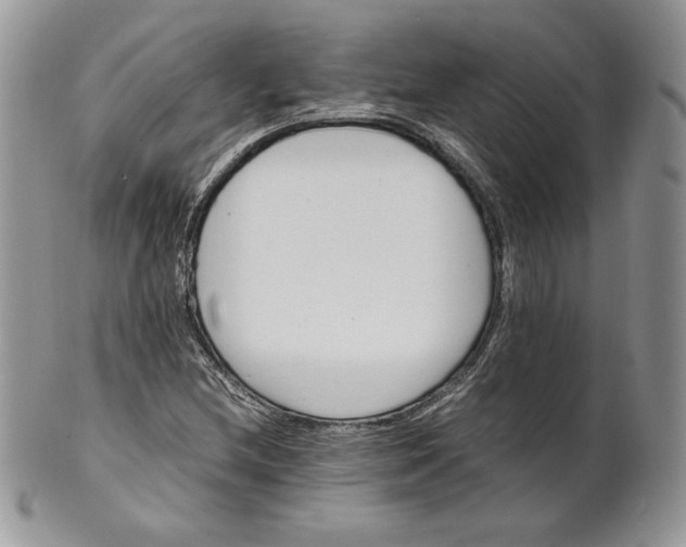 X0000101961212200808011100