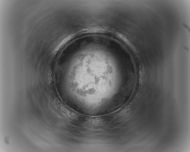 X0000101961213200808011100