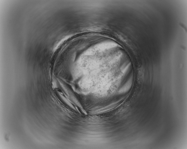 X0000101961214200808011100