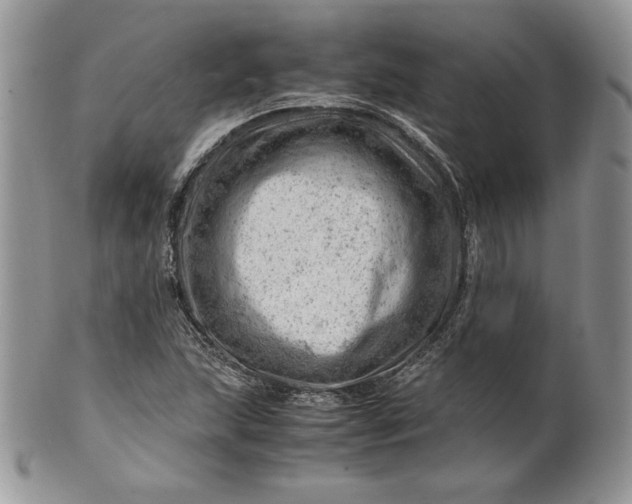 X0000101961215200808011100