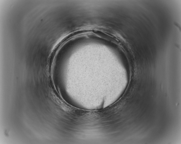 X0000101961216200808011100