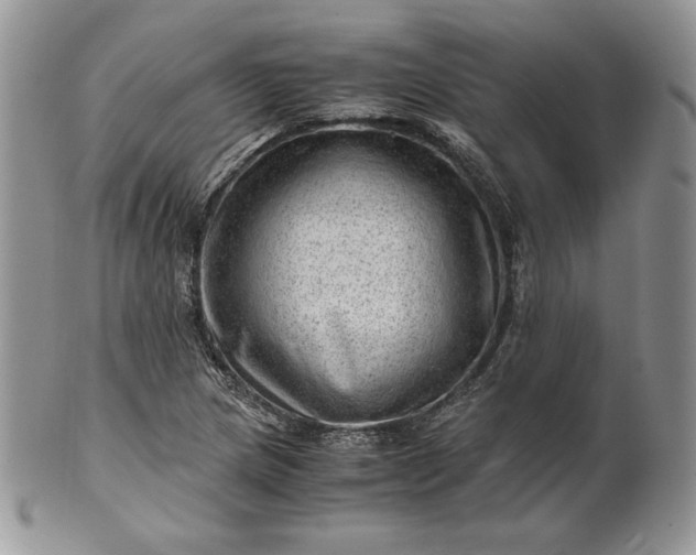 X0000101961217200808011100