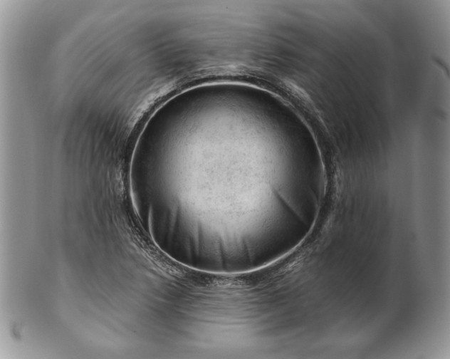 X0000101961218200808011100