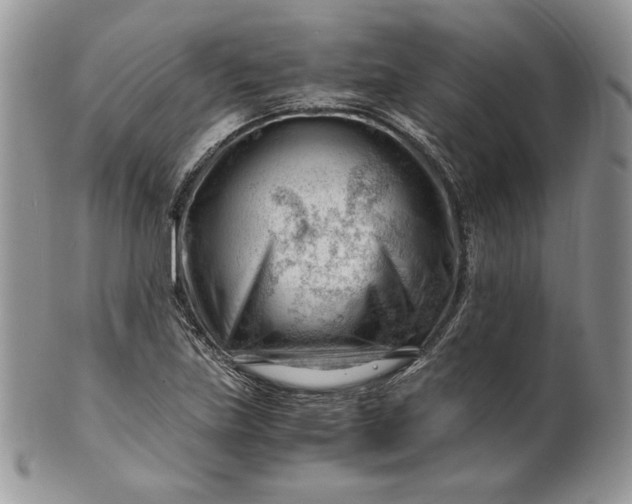 X0000101961219200808011100