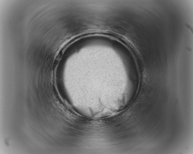 X0000101961220200808011100