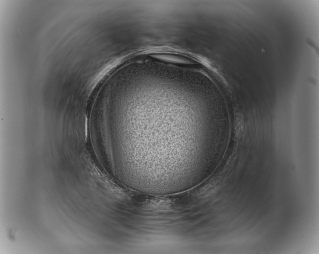 X0000101961221200808011100