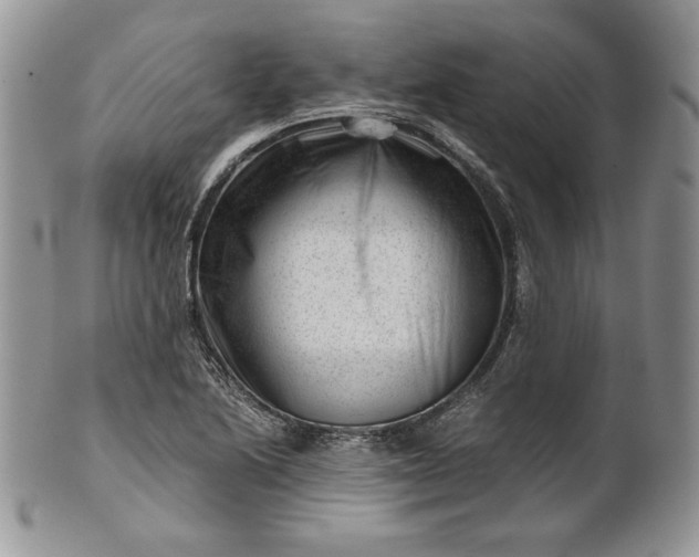 X0000101961222200808011100