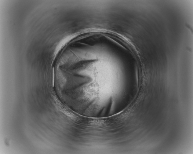 X0000101961223200808011100