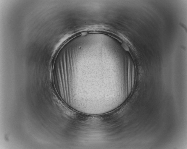 X0000101961224200808011100