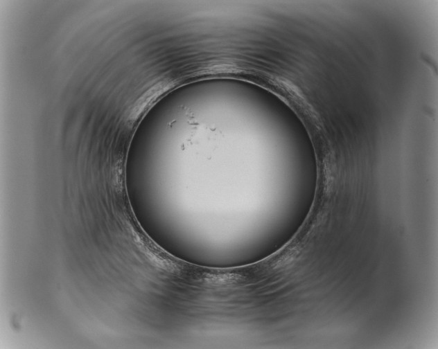 X0000101961225200808011100