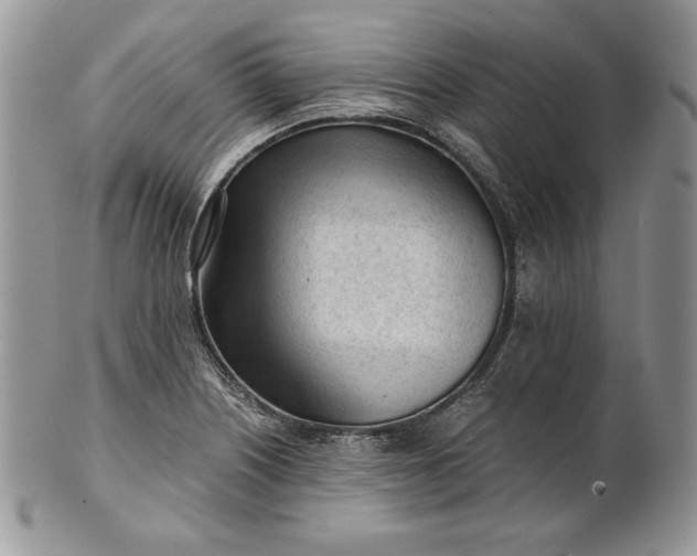 X0000101961226200808011100