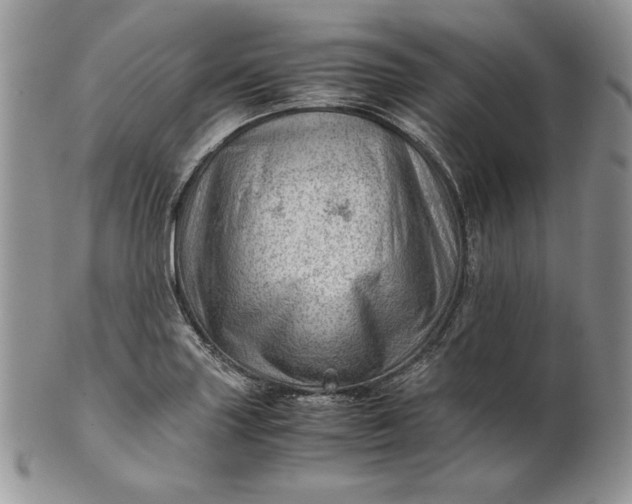 X0000101961227200808011100