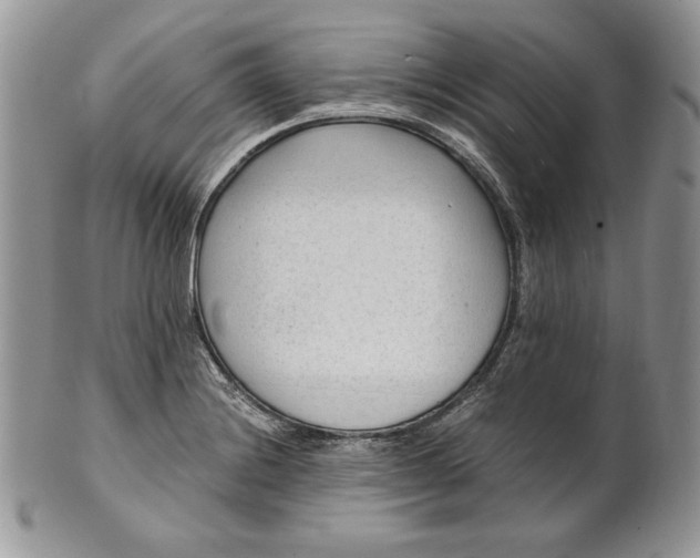 X0000101961228200808011100