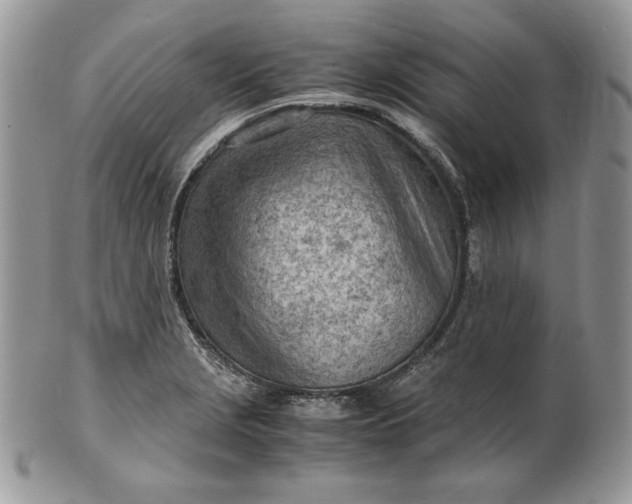 X0000101961229200808011100