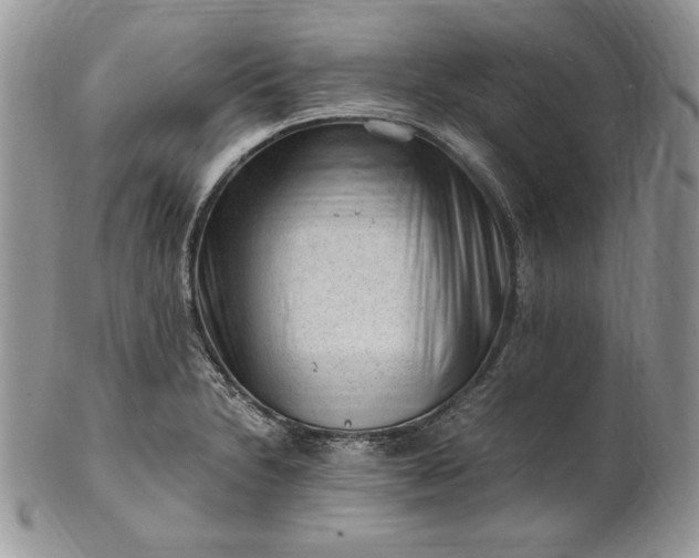 X0000101961230200808011100