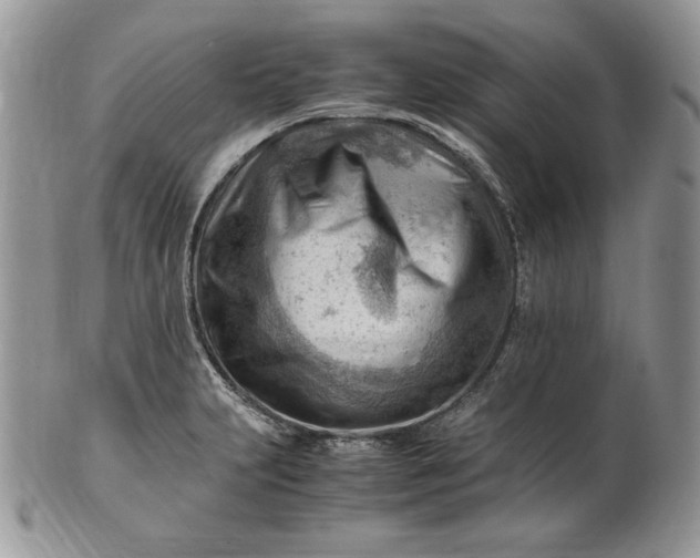 X0000101961231200808011100