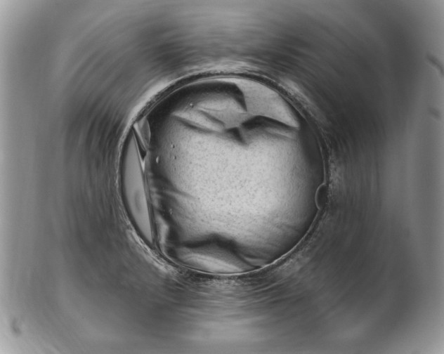 X0000101961232200808011100