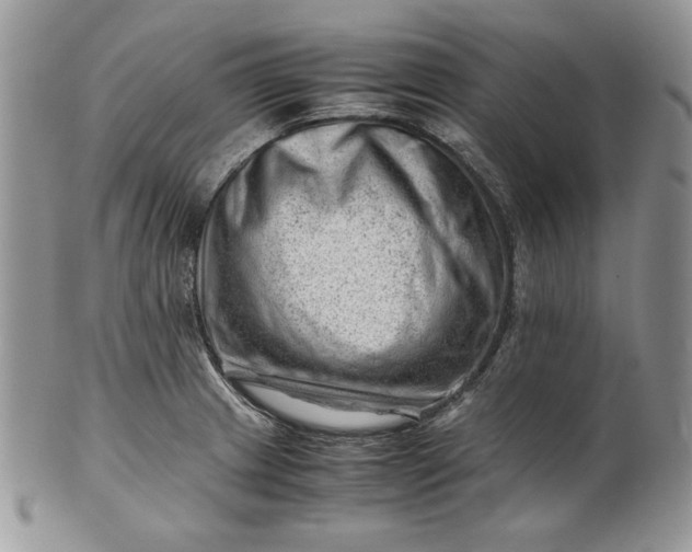 X0000101961233200808011100