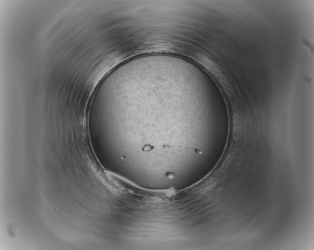 X0000101961234200808011100