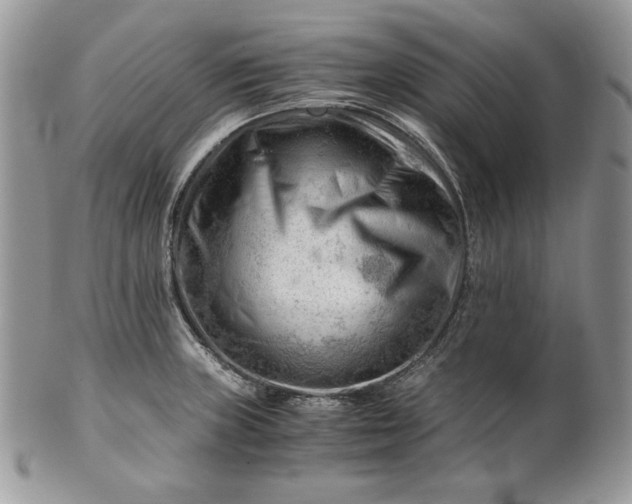 X0000101961235200808011100