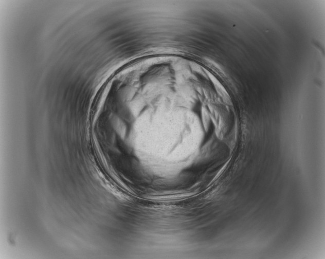 X0000101961236200808011100