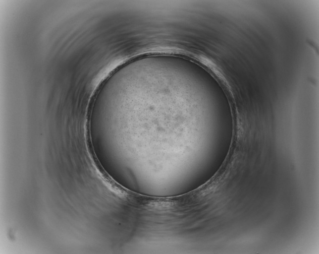 X0000101961237200808011100