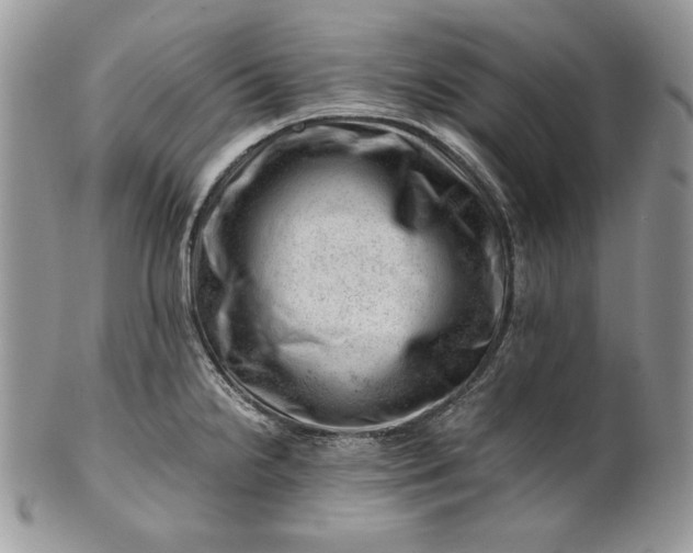 X0000101961238200808011100