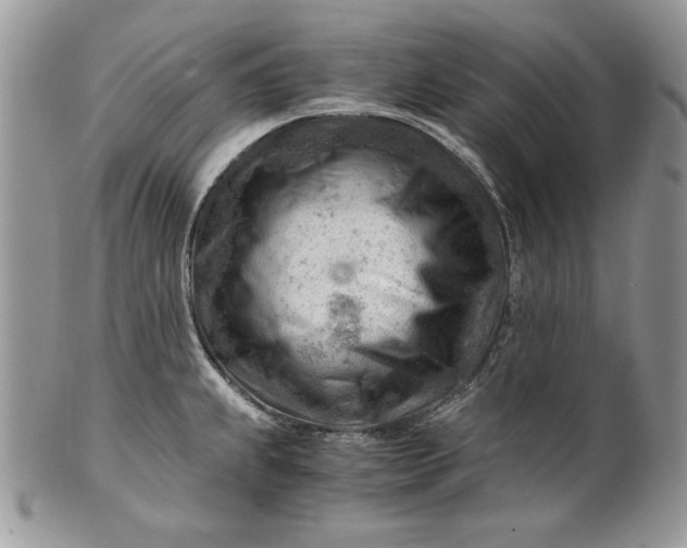 X0000101961239200808011100