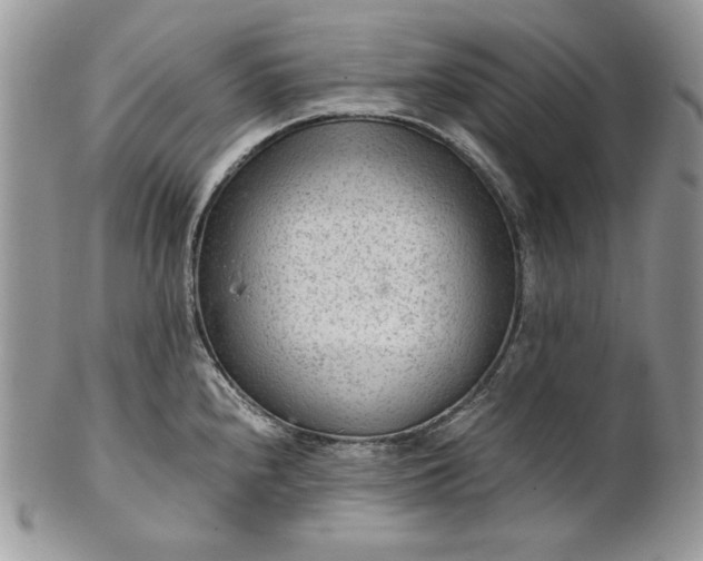 X0000101961240200808011100