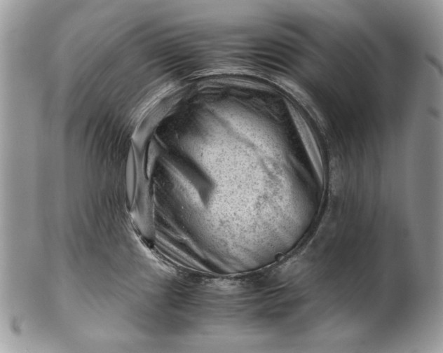 X0000101961241200808011100