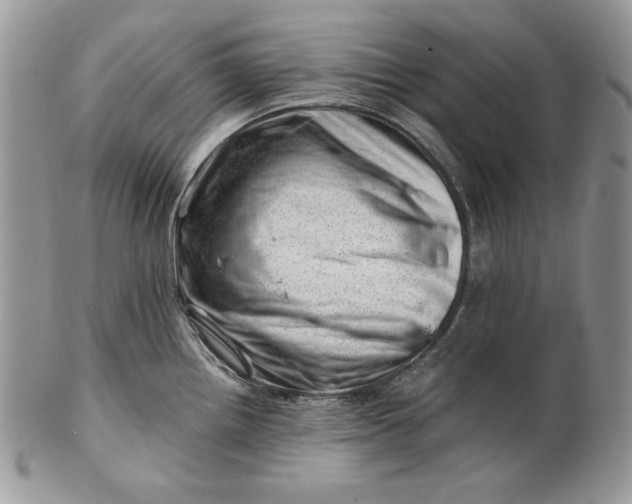 X0000101961242200808011101