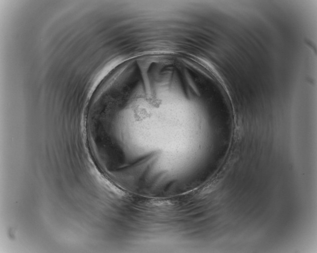 X0000101961243200808011101