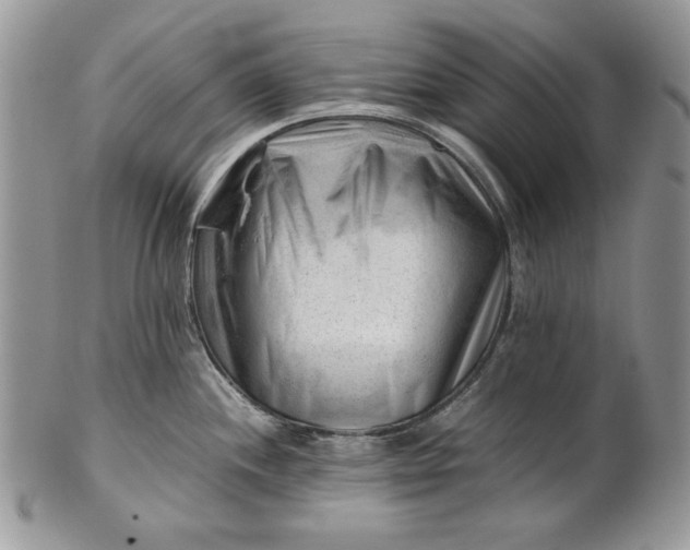 X0000101961244200808011101