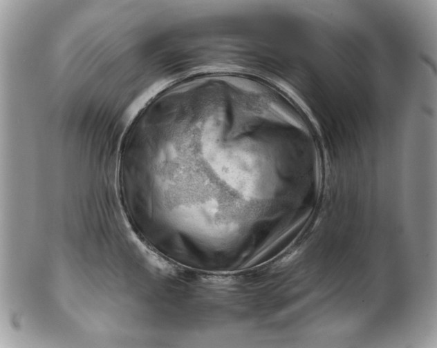 X0000101961245200808011101