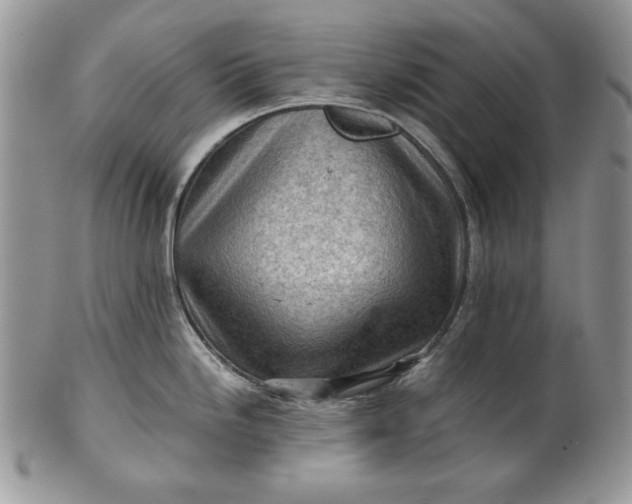 X0000101961246200808011101