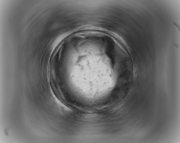 X0000101961247200808011101