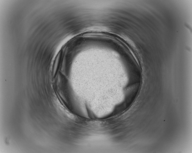 X0000101961248200808011101