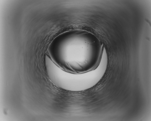 X0000101961249200808011100