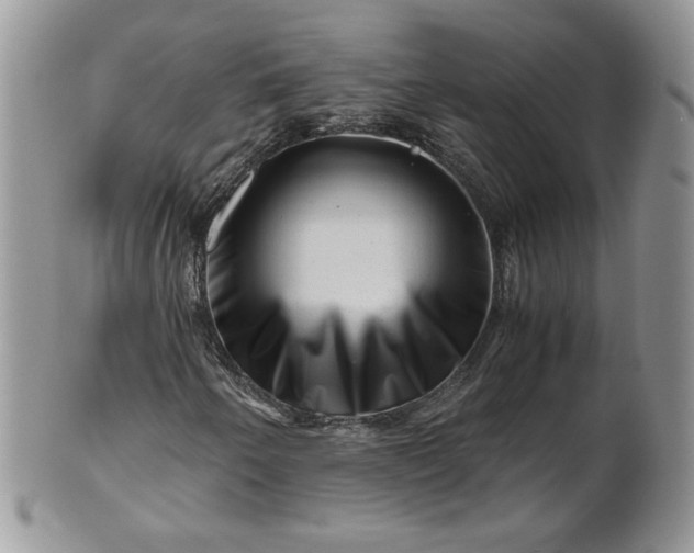 X0000101961250200808011100