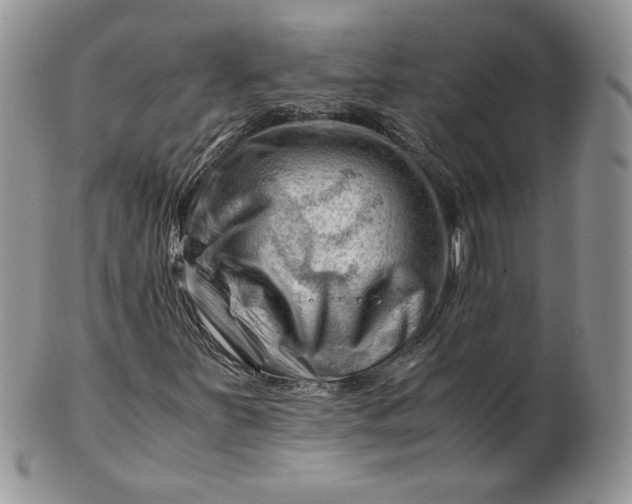 X0000101961251200808011100