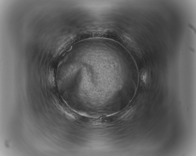 X0000101961252200808011100