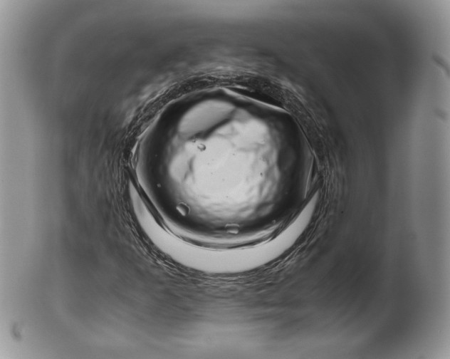 X0000101961253200808011100