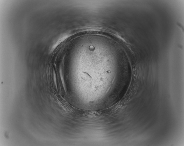 X0000101961255200808011100