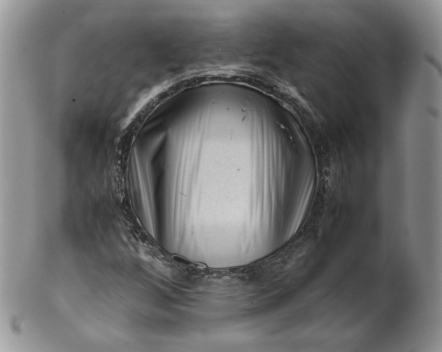 X0000101961256200808011100