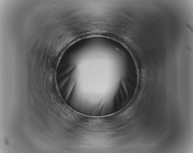 X0000101961257200808011100