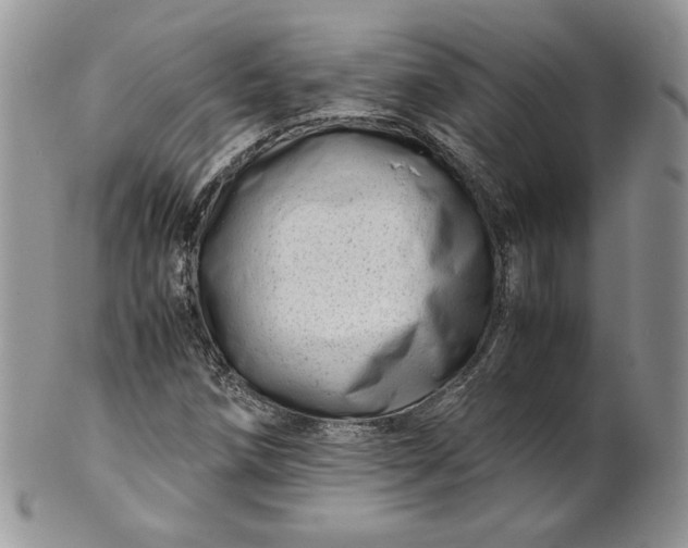 X0000101961258200808011100